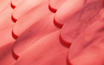 Brightholmlee plastic roof costs